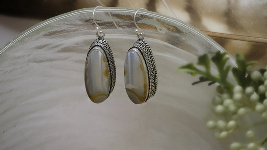 Botswana Agate Sterling Silver Earrings